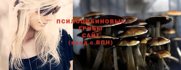 ALPHA PVP Алзамай