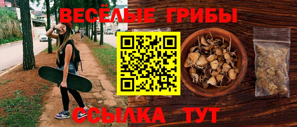 Галлюциногенные грибы Psilocybe Кудрово